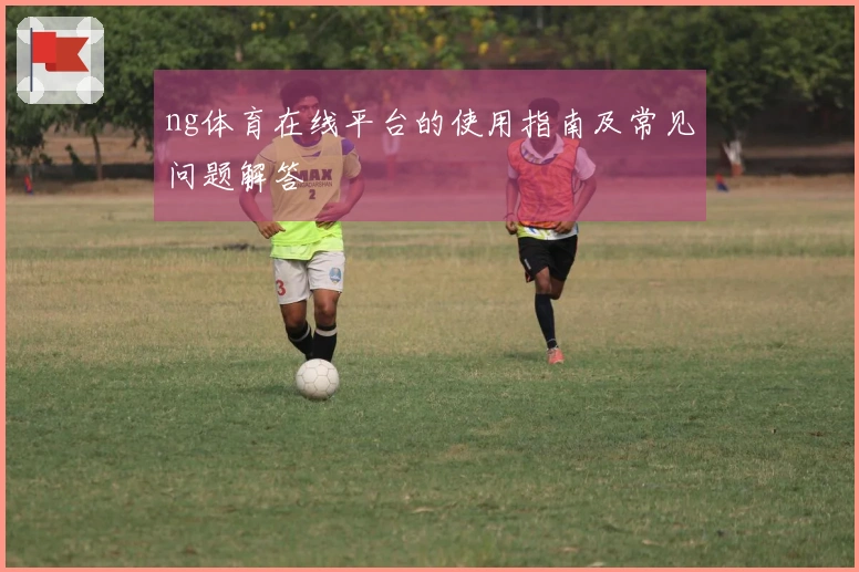 ng体育在线平台的使用指南及常见问题解答