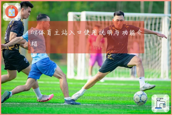 ng体育主站入口使用说明与功能介绍