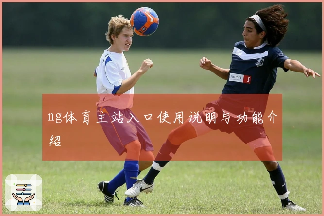 ng体育主站入口使用说明与功能介绍
