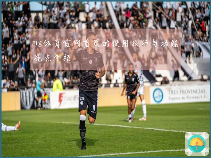ng体育官网首页的使用技巧与功能亮点介绍