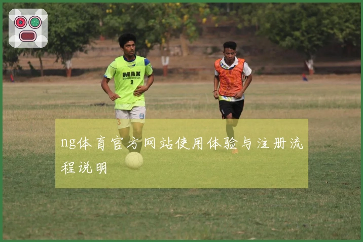 ng体育官方网站使用体验与注册流程说明