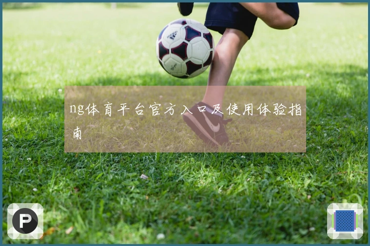 ng体育平台官方入口及使用体验指南