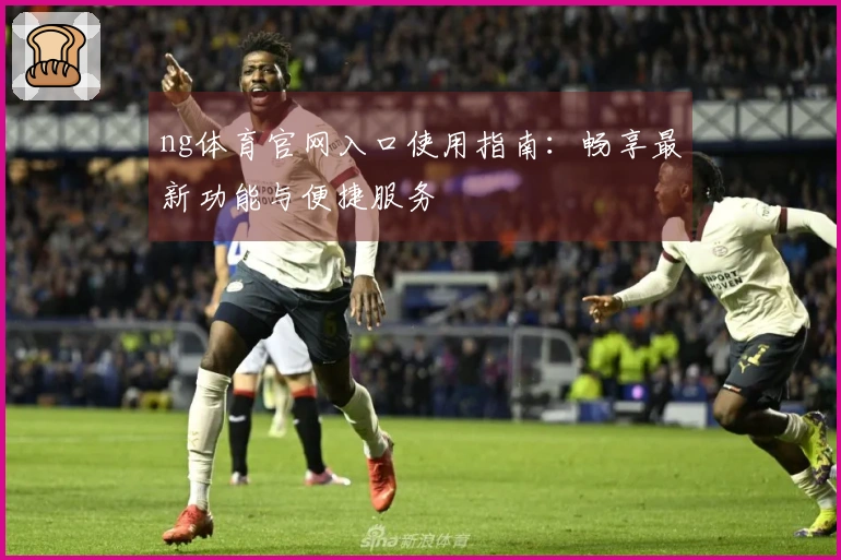 ng体育官网入口使用指南：畅享最新功能与便捷服务