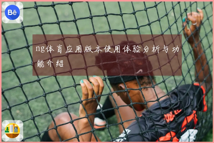 ng体育应用版本使用体验分析与功能介绍