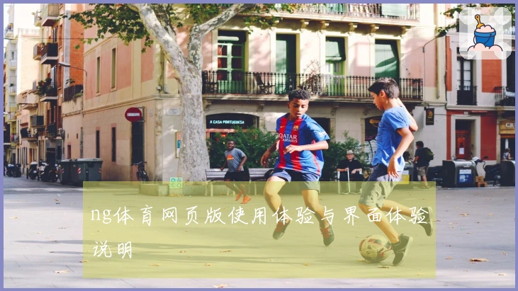 ng体育网页版使用体验与界面体验说明