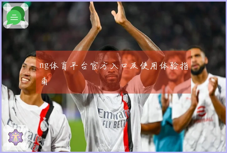 ng体育平台官方入口及使用体验指南