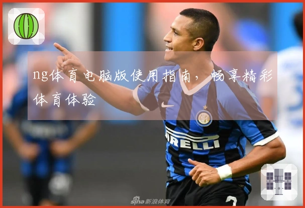 ng体育电脑版使用指南，畅享精彩体育体验